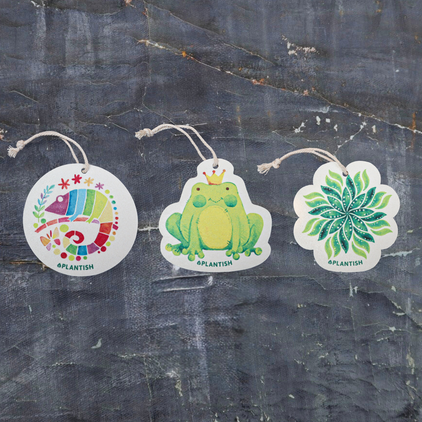 Frog - Pop up Sponge (Holiday Exclusive)