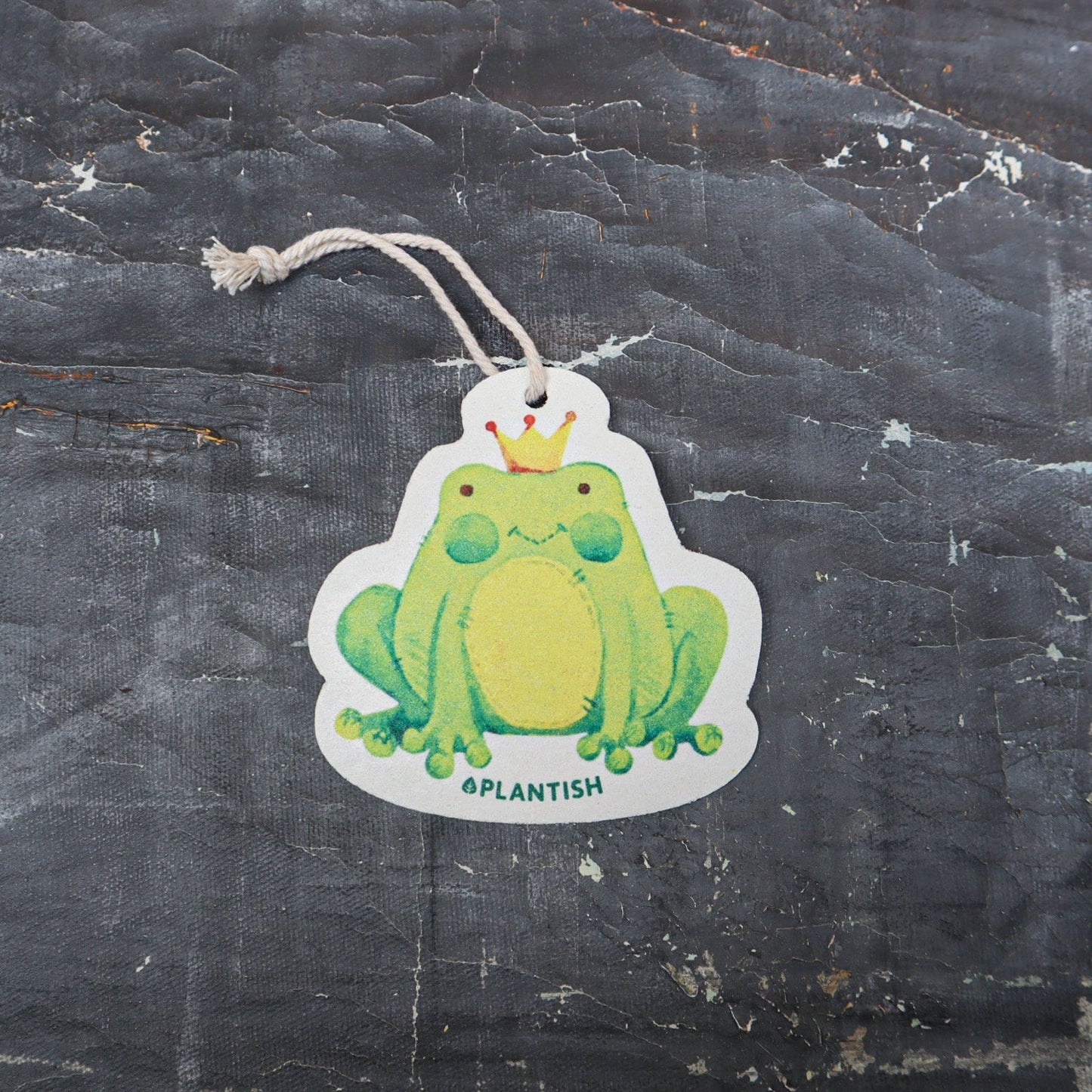 Frog - Pop up Sponge (Holiday Exclusive)