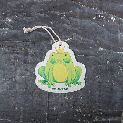 Frog - Pop up Sponge (Holiday Exclusive)