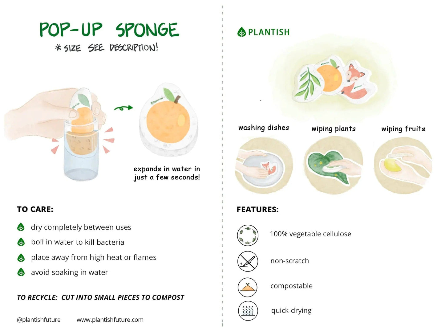 Holiday Beaver - Pop up Sponge (Holiday Exclusive)